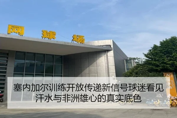 塞内加尔训练开放传递新信号球迷看见汗水与非洲雄心的真实底色